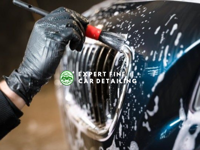 Upholstery Cleaning